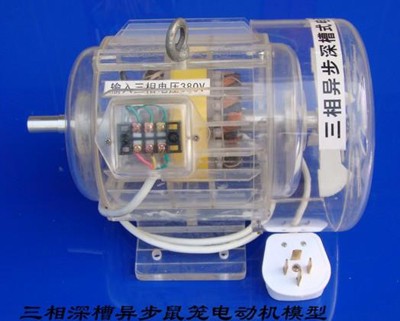 三相異步深槽鼠籠式電動機模型 三相異步深槽鼠籠式電動機模型