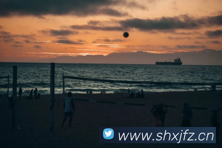 App Interface Preview